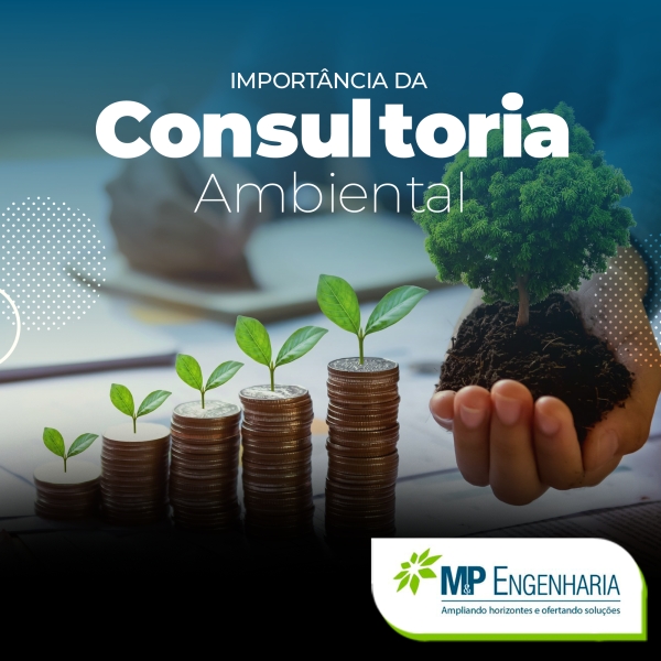 Import&acirc;ncia da Consultoria Ambiental