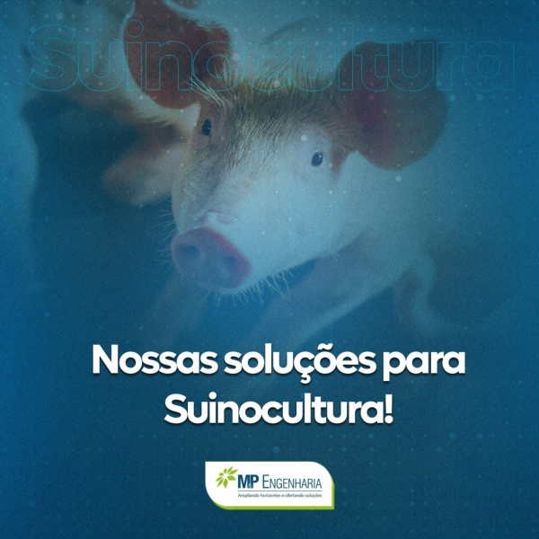 Suinocultura 360&ordm;: Conhe&ccedil;a as nossas solu&ccedil;&otilde;es!