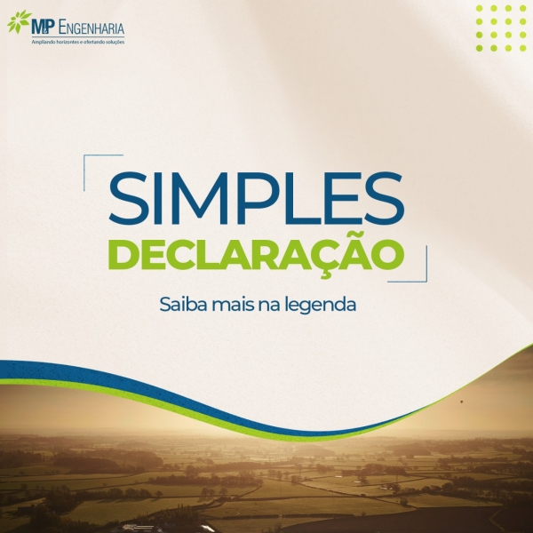 SIMPLES DECLARA&Ccedil;&Atilde;O