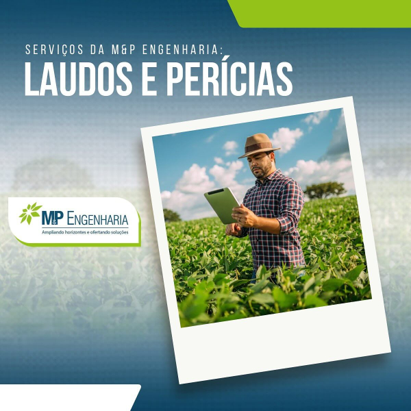 Servi&ccedil;os: Laudos e Per&iacute;cias