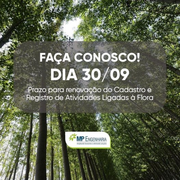 Prazo para registro e/ou renova&ccedil;&atilde;o de cadastros