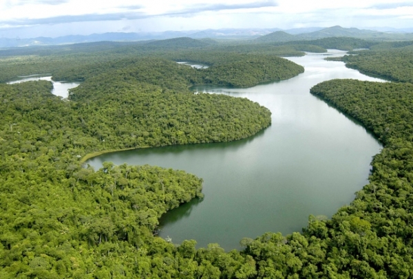 Assuntos importantes para a pauta ambiental em MG s&atilde;o apresentados em reuni&atilde;o do Copam