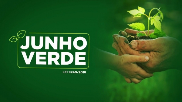 Senado aprova campanha anual &lsquo;Junho Verde&rsquo; em favor do meio ambiente