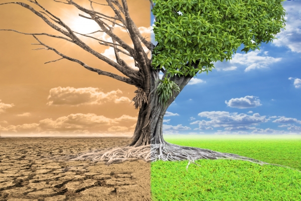 Em carta aos Estados Unidos, Brasil se compromete com desmatamento zero at&eacute; 2030