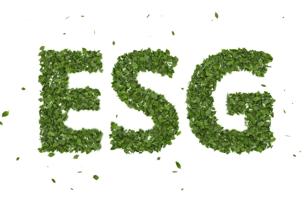 ESG parece, mas n&atilde;o &eacute; o mesmo que sustentabilidade
